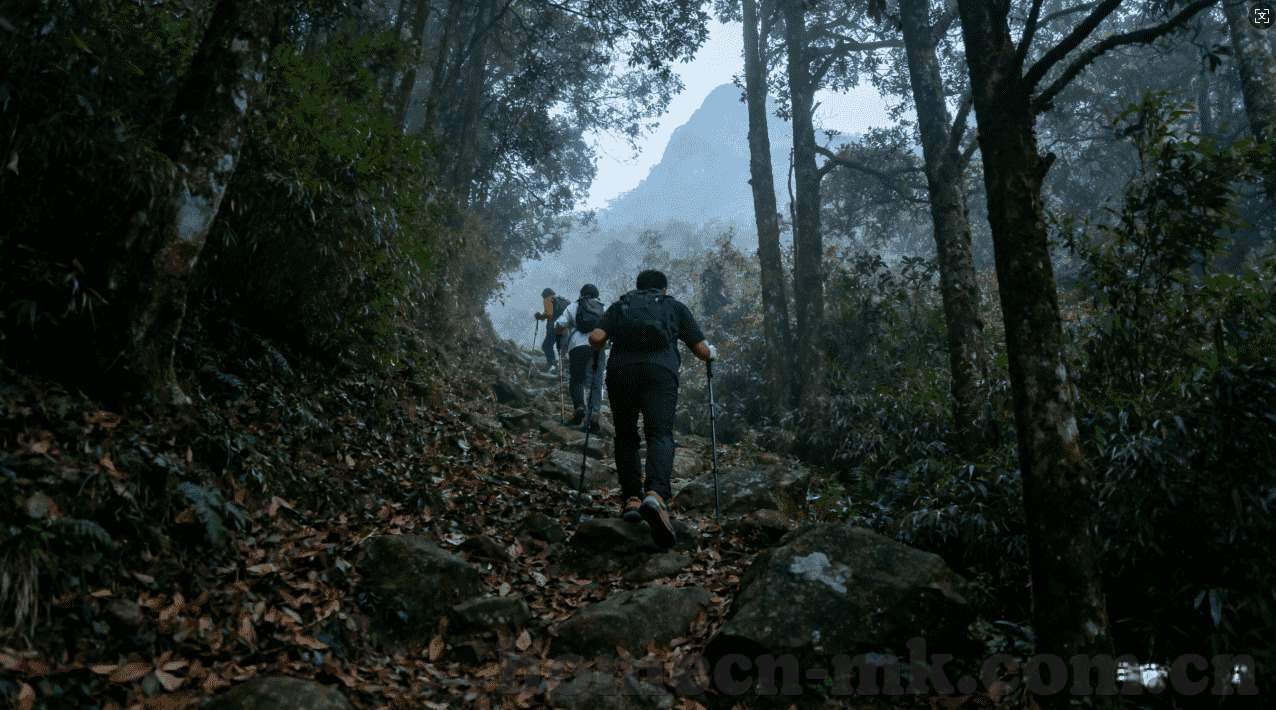 世界杯足彩窜买几窜好-世界杯足彩串买攻略，如何巧妙组合提升中奖几率